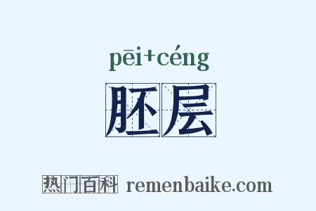 胚层是什么意思的图片